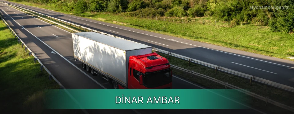 Dinar Ambar Kargo
